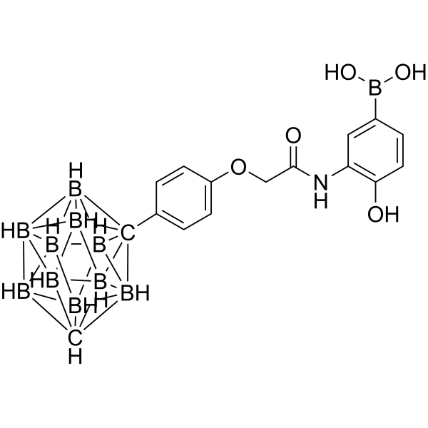 O-Carboranylphenoxyacetanilide 2260545-92-2
